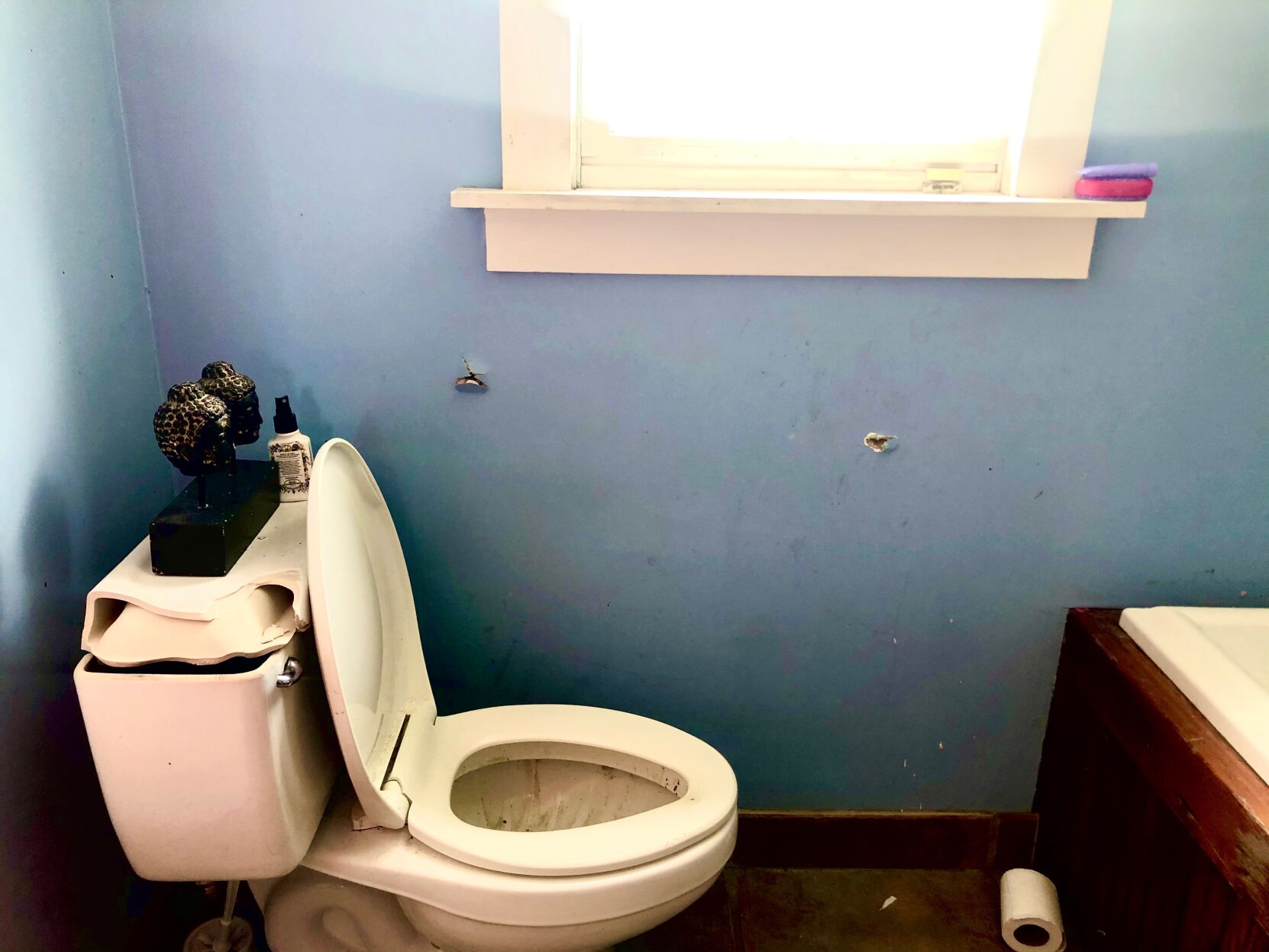 Jennifer Blow toilet